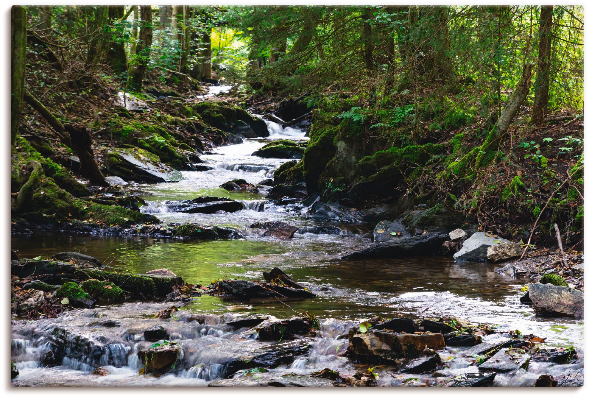 Artland Paveikslas »Bachlauf im Wald« Gewässer...