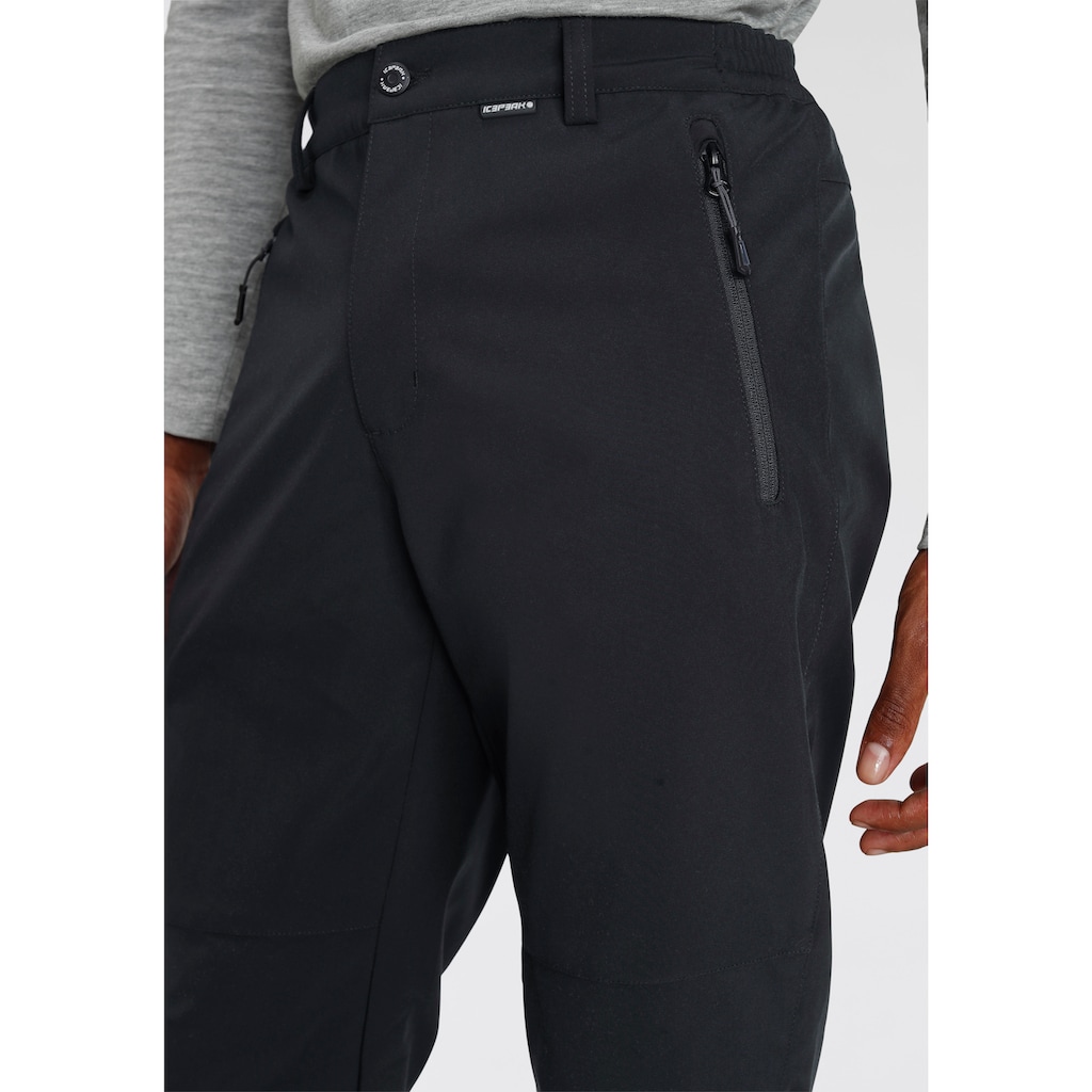 Icepeak Skihose »FRANKFURT«