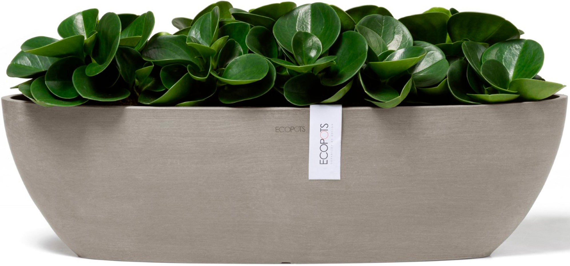 ECOPOTS Blumentopf »Sofia lang 56 Taupe«, für innen und außen: frostsicher, bruchsicher und lichtbeständig