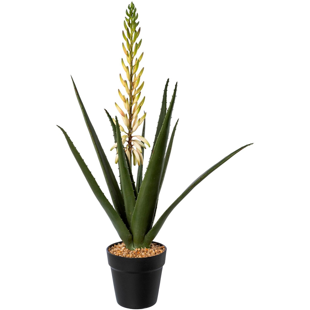 Creativ green Künstliche Zimmerpflanze »Aloe mit Blüte im Topf«