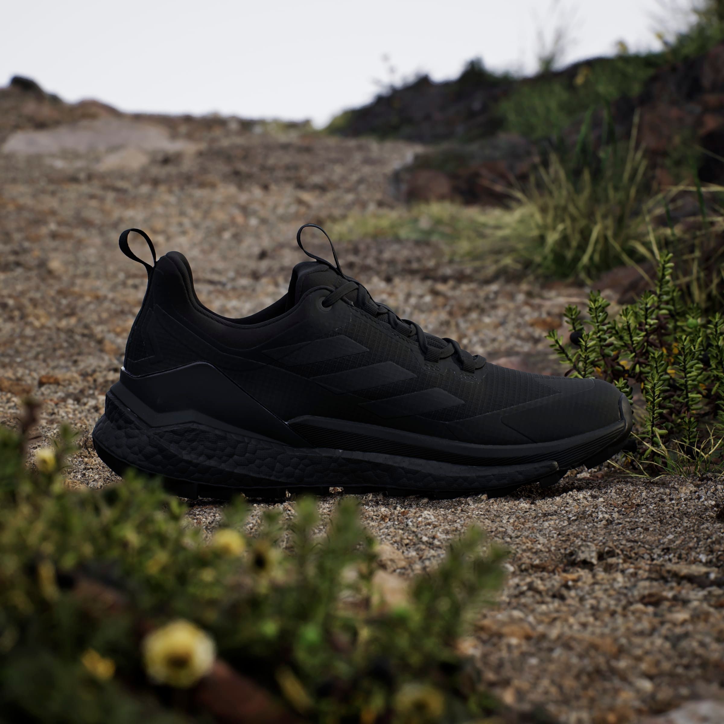 adidas TERREX Wanderschuh »TERREX FREE HIKER 2.0 LOW GORE-TEX«, wasserdicht