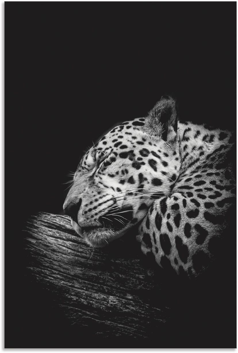 Artland Wandbild »Das Nashorn«, Wildtiere, (1 Poster Wandaufkleber | in Alubild, als oder Leinwandbild, versch. Größen bestellen St.), BAUR