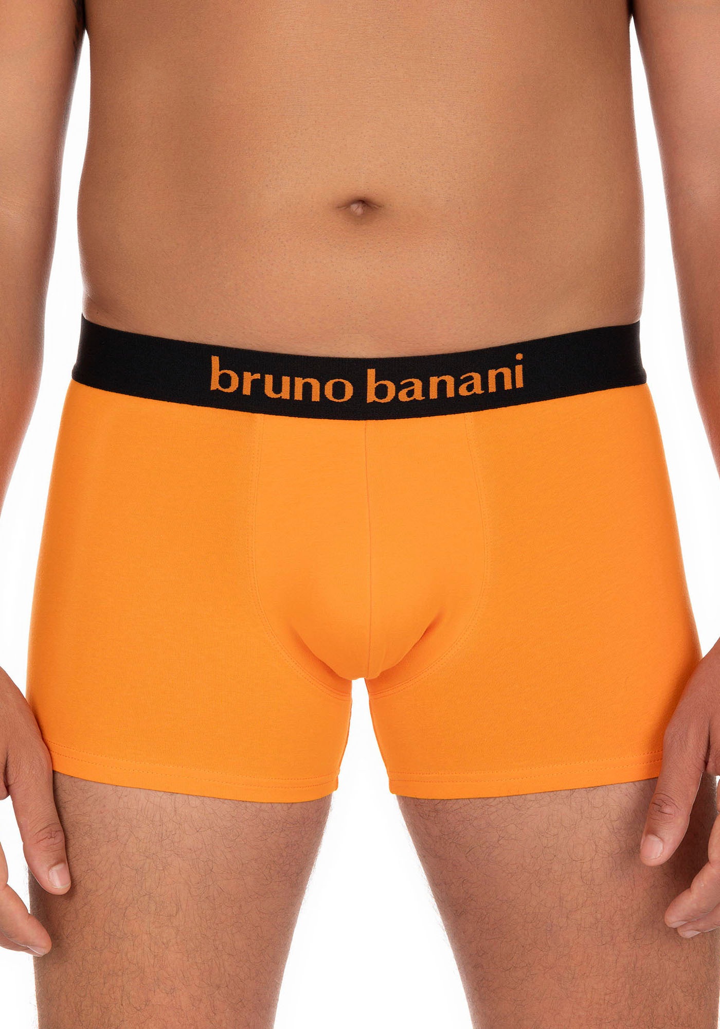 Bruno Banani Boxer »Flowing«, (2er Pack), mit kontrastreichem Logobund