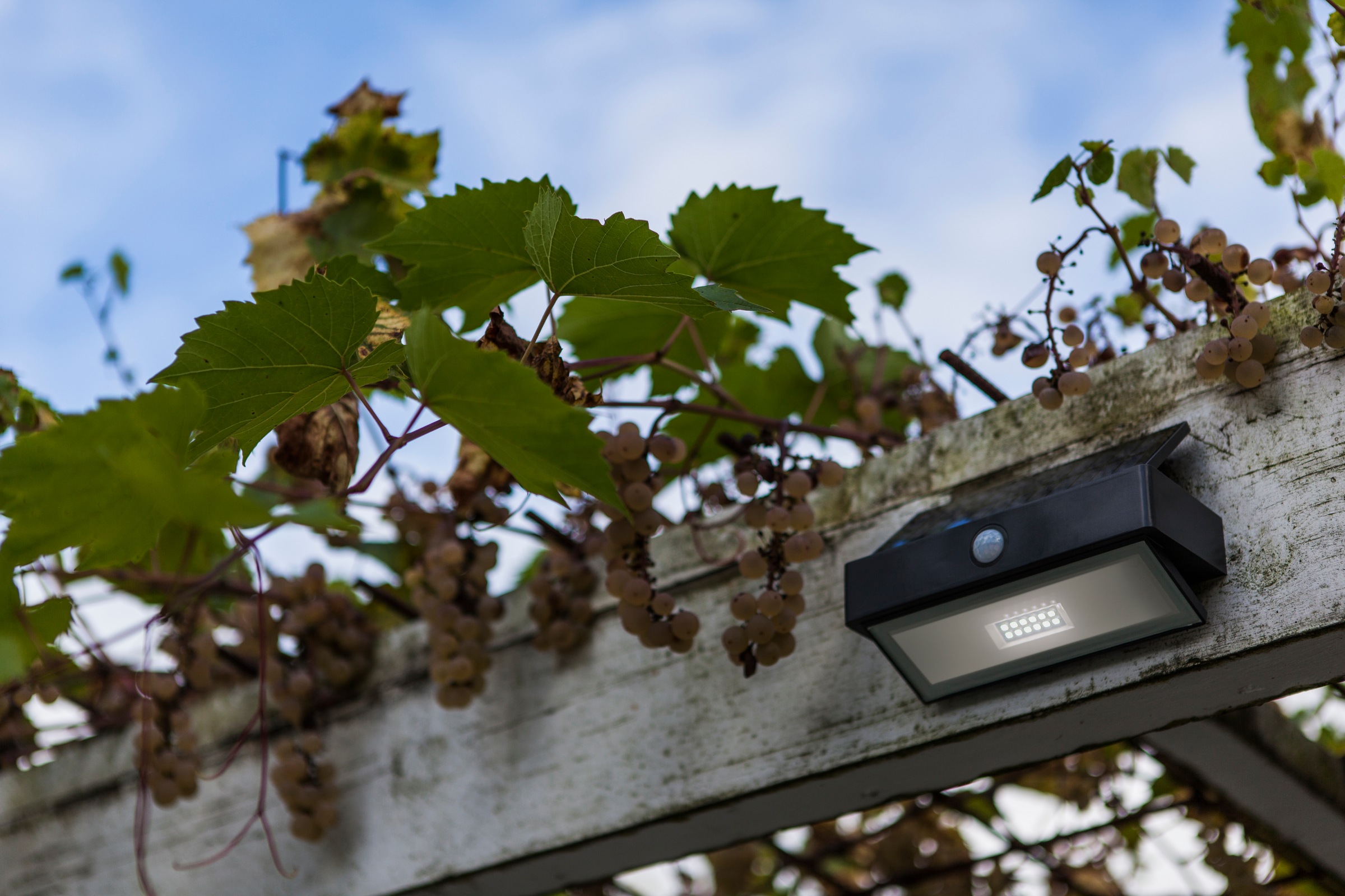 LUTEC LED Solarleuchte »LED-Solar-Wandleuchte Arrow, anthrazit«, 1 flammig, Leuchtmittel LED-Board | LED fest integriert, Bewegungsmelder