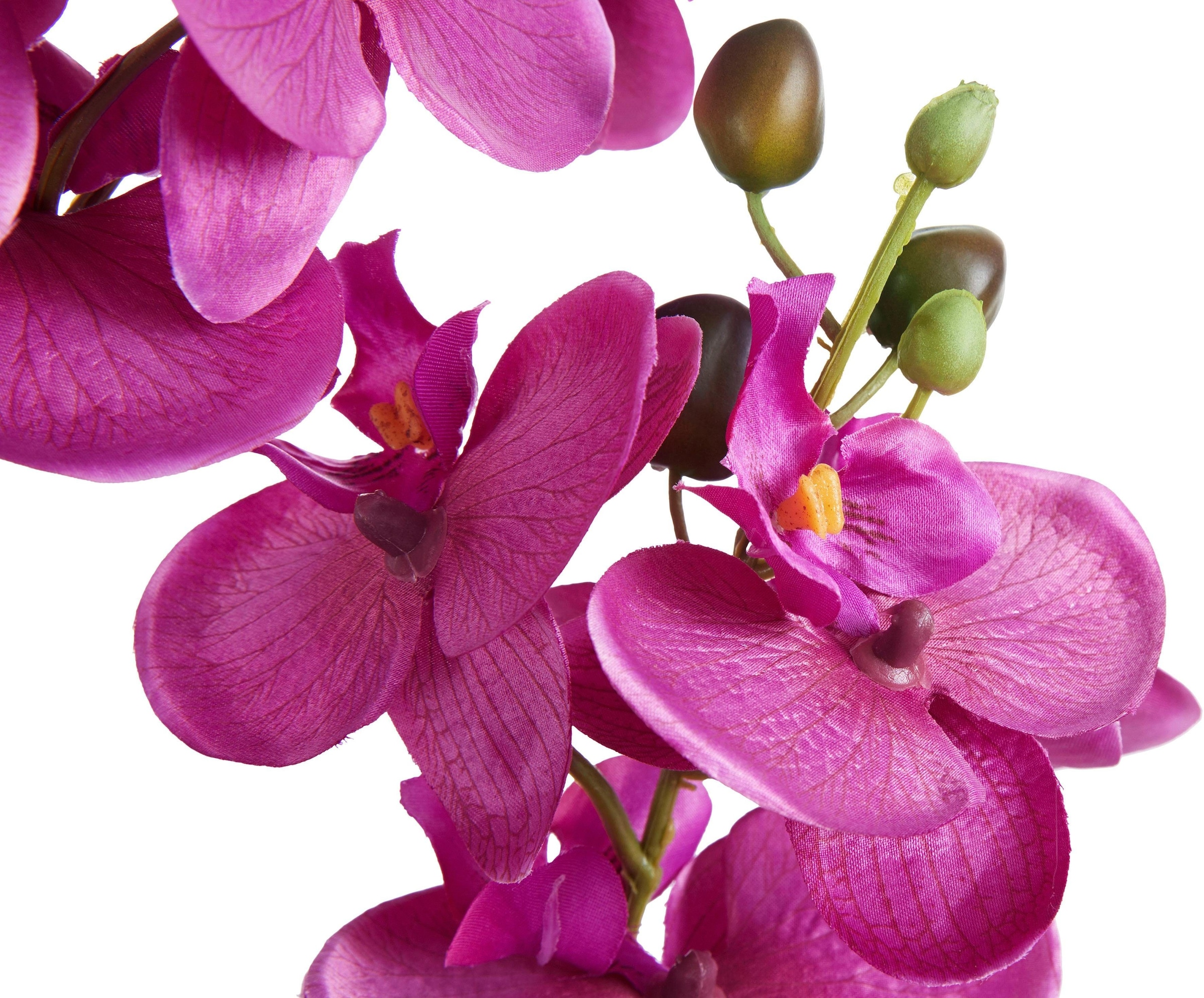Creativ green Kunstpflanze »Orchidee« kaufen | BAUR