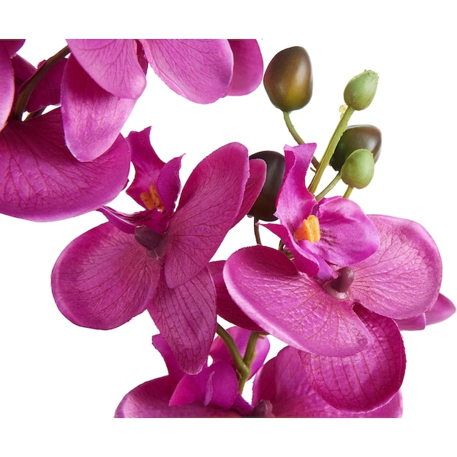 green kaufen BAUR »Orchidee« Kunstpflanze | Creativ