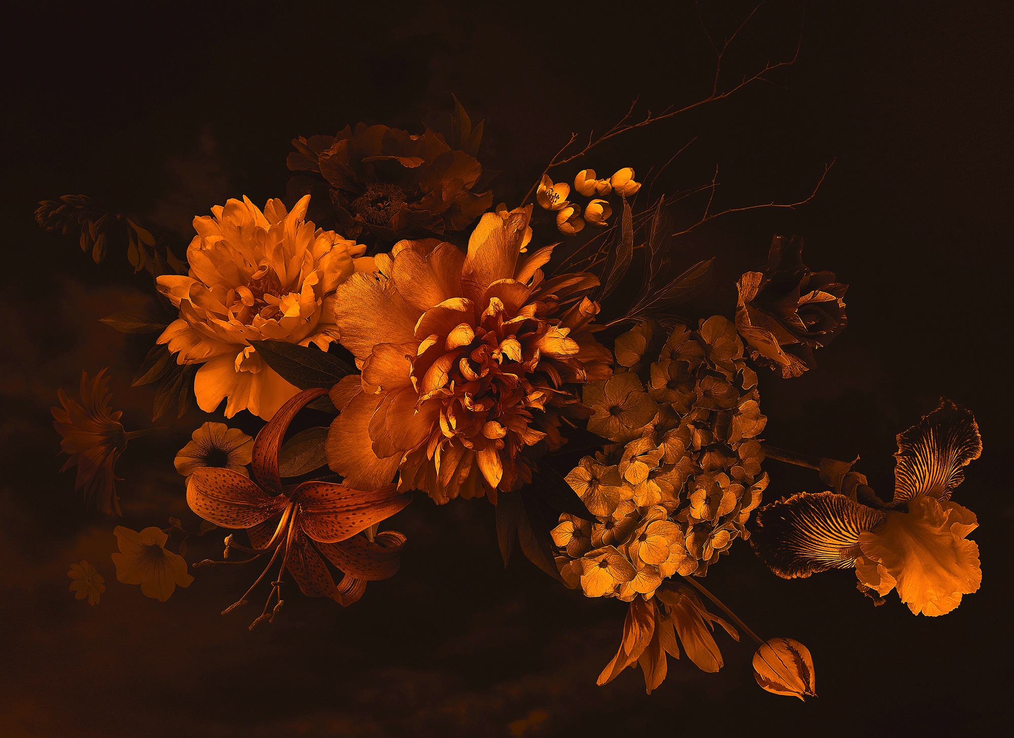 living walls Fototapetas »Designwalls Blossom Varie...