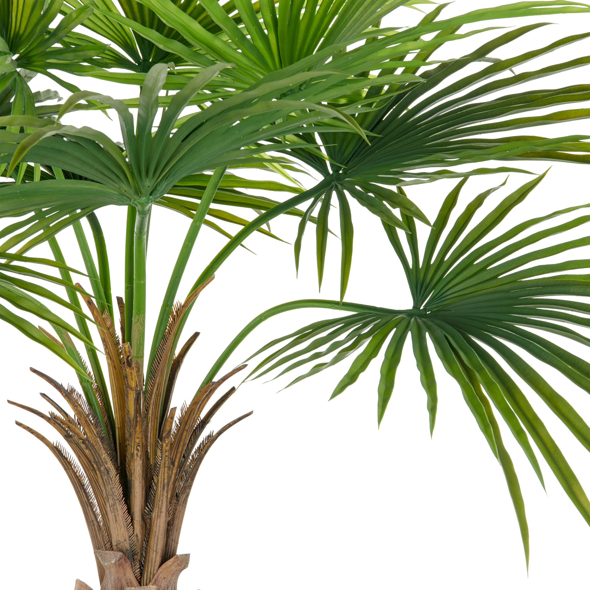 Creativ green Kunstpalme »Fächerpalme«, mit naturgetreuen Palmwedeln