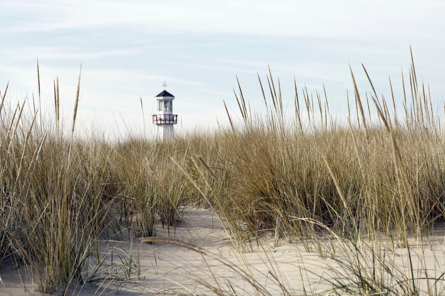 queence Acrylglasbild "Erasmus" Deutschland  Düne  Gräser  Himmel  Leuchttu günstig online kaufen