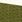 creme/green creme/green