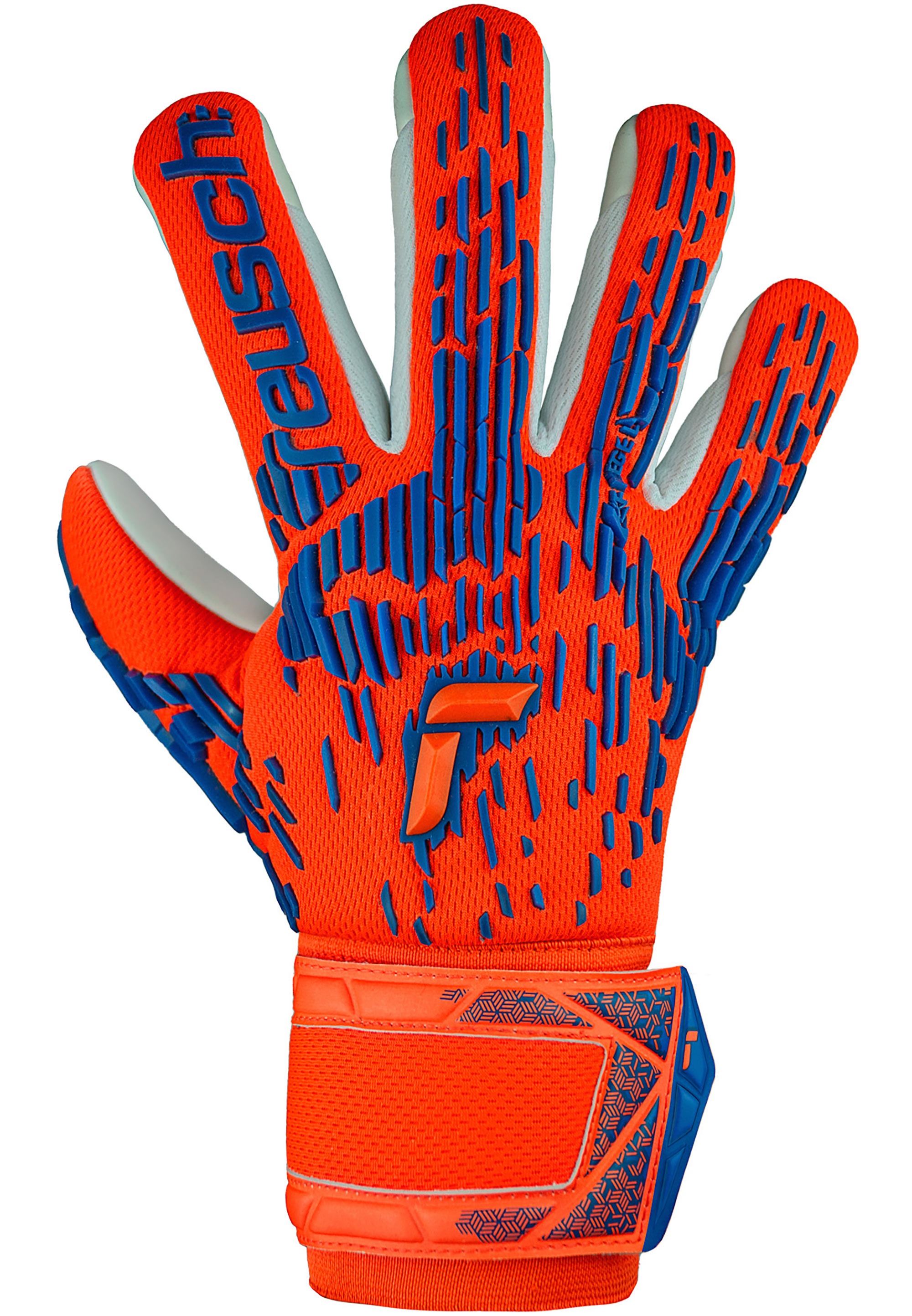 Reusch Torwarthandschuhe "Attrakt Freegel Silver" mit Evolution Negative Cu günstig online kaufen