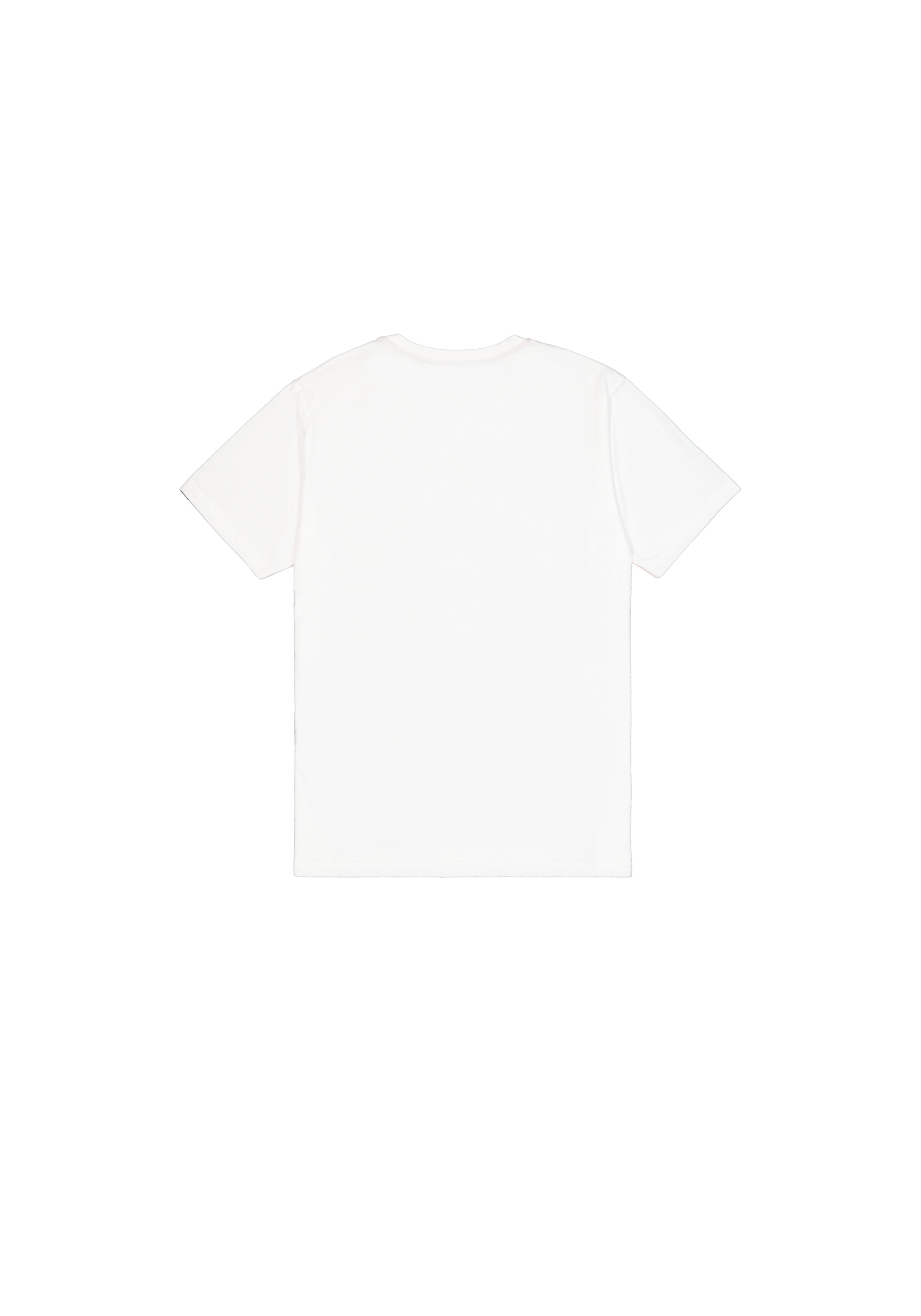 Alpha Industries T-Shirt »Basic T-Shirt BL Ripstop«