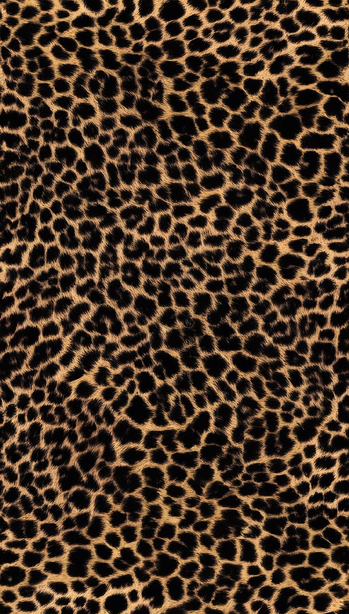 living walls Fototapete »The Wall 4 Eyecatcher – Luxuriöses Leopardenmuster Vlies-Fototapete« Motiv | matt leicht strukturiert Luxuriöses Leopardenmuster mit ausdrucksstarker Wirkung