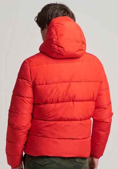 Superdry Steppjacke "HOODED SPORTS PUFFR JACKET", mit Kapuze, mit kontrastf günstig online kaufen