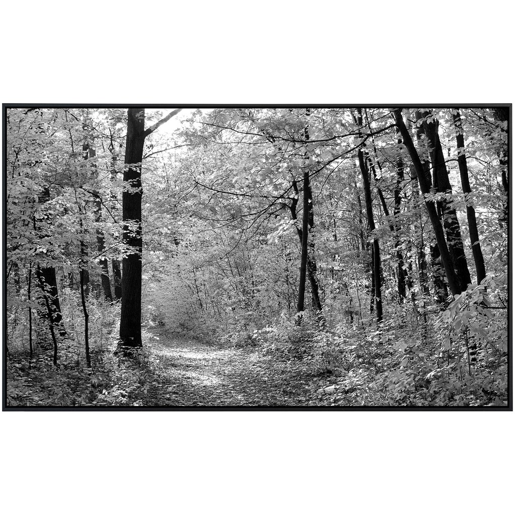 Papermoon Infrarotheizung »Waldweg«, sehr angenehme Strahlungswärme