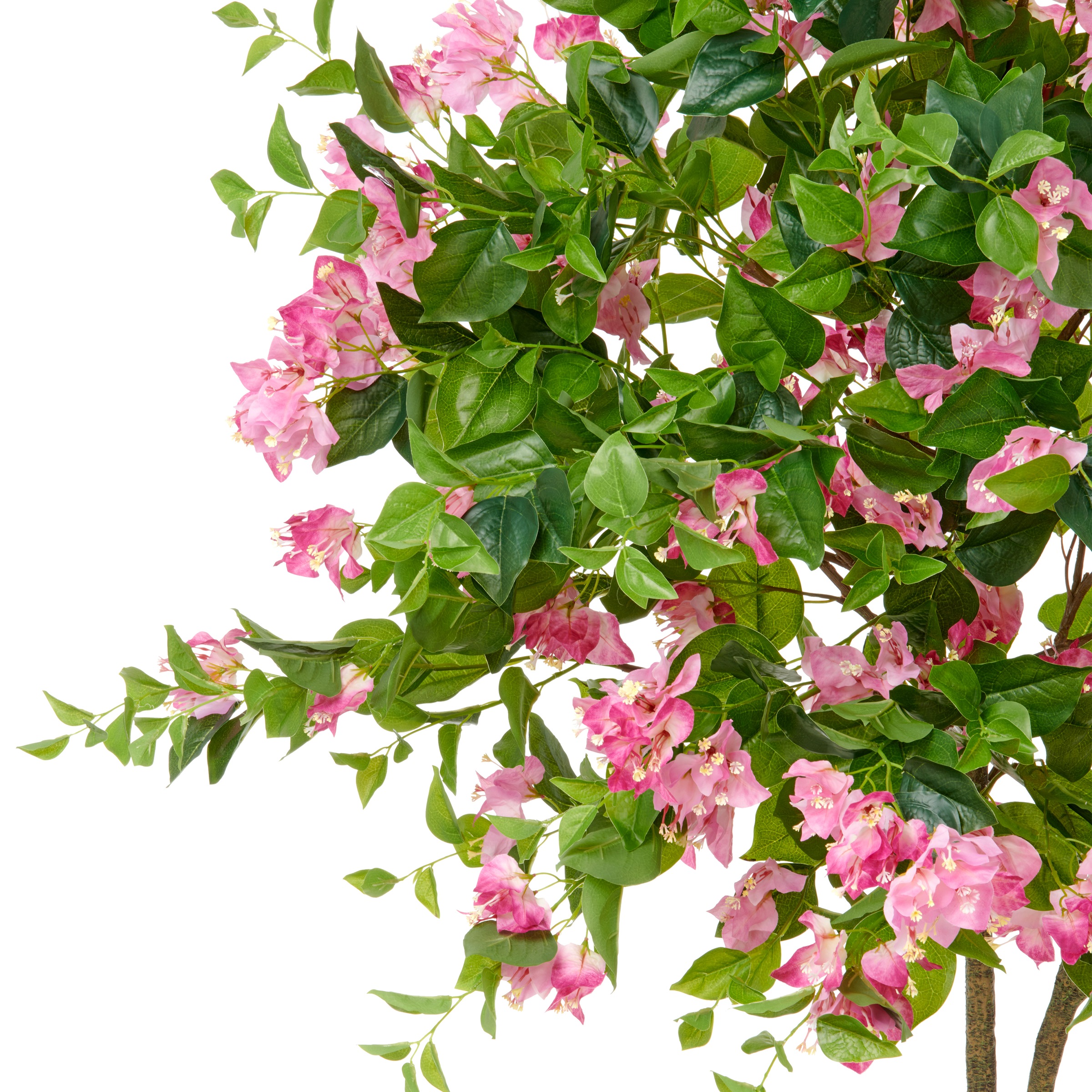 Creativ green Kunstbaum "Bougainvillea", mit zahlreichen Blüten günstig online kaufen