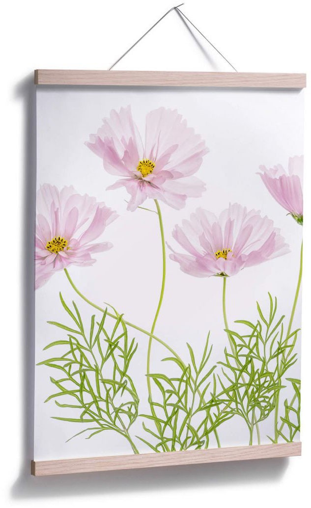 Wall-Art Poster »Sommerblume«, Blumen, (1 St.) bestellen | BAUR
