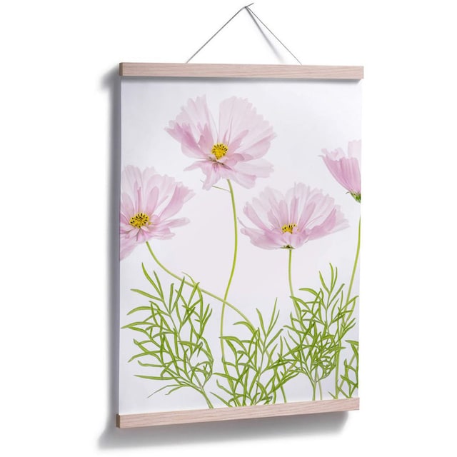 Wall-Art Poster »Sommerblume«, Blumen, (1 St.) bestellen | BAUR