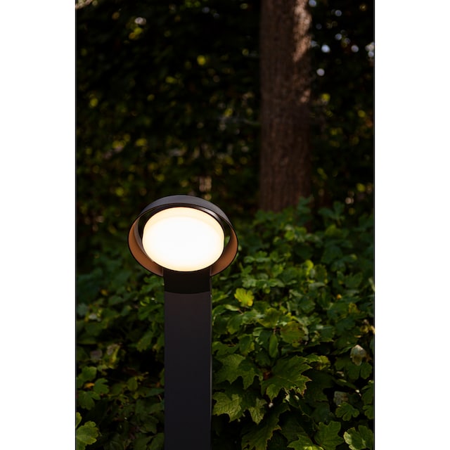 BAUR Außen-Wandleuchte »POLO« LED | LUTEC