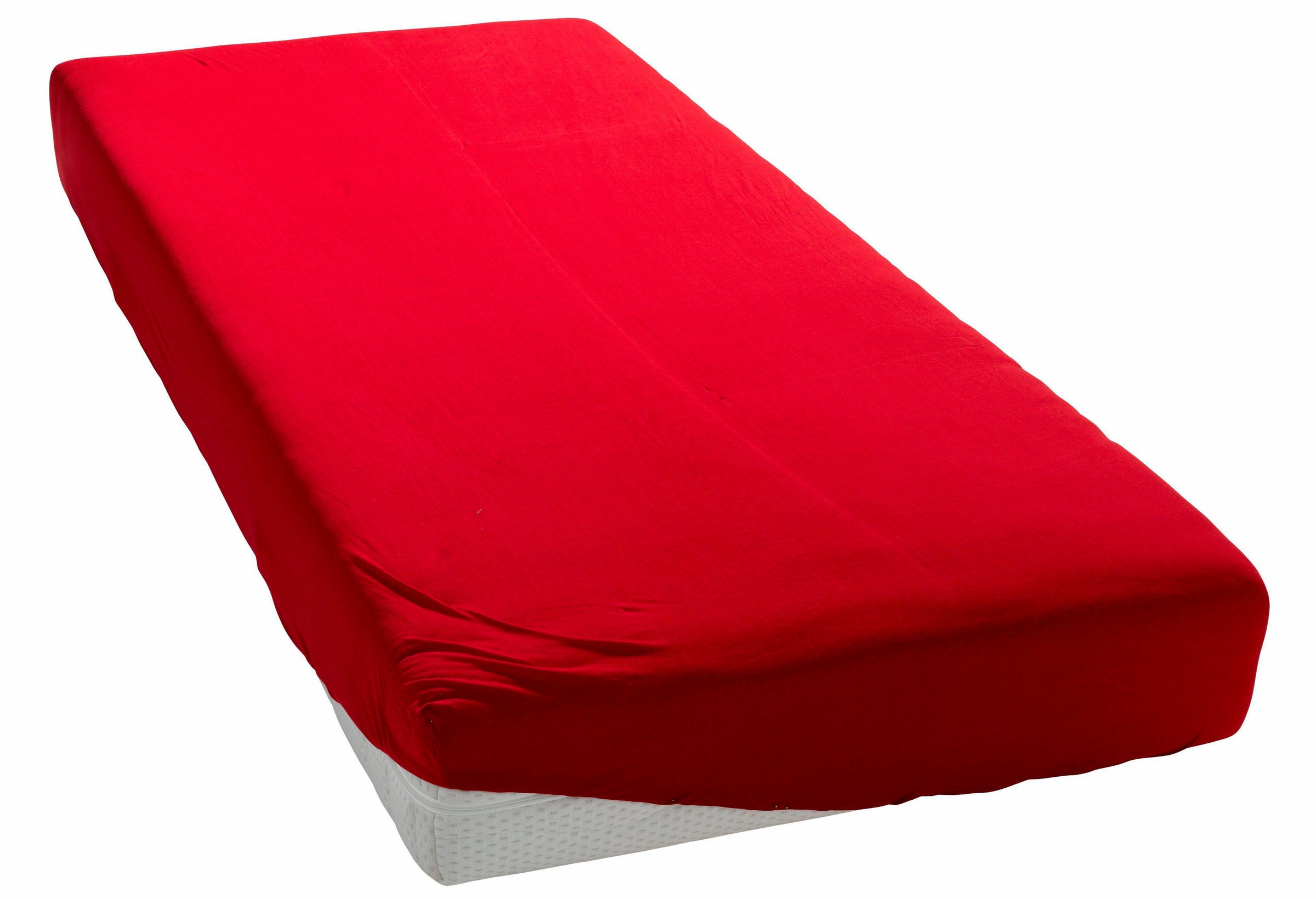 my home Spannbettlaken "PAPRIKA" Bettlaken, Laken, in zwei Qualitäten: Flee günstig online kaufen