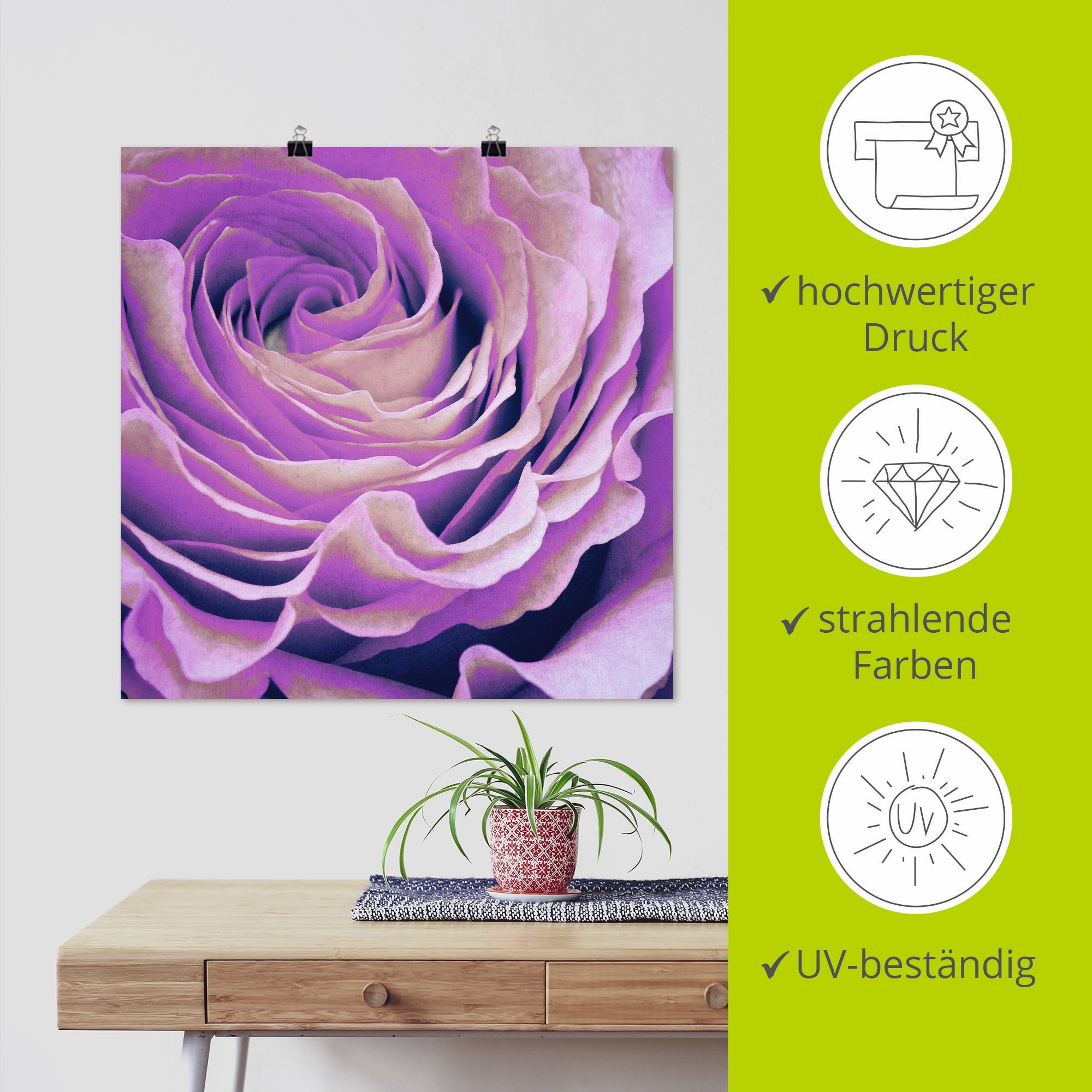 Artland Wandbild »Lila Rose«, Blumen, (1 St.), als Leinwandbild, Poster in verschied. Größen