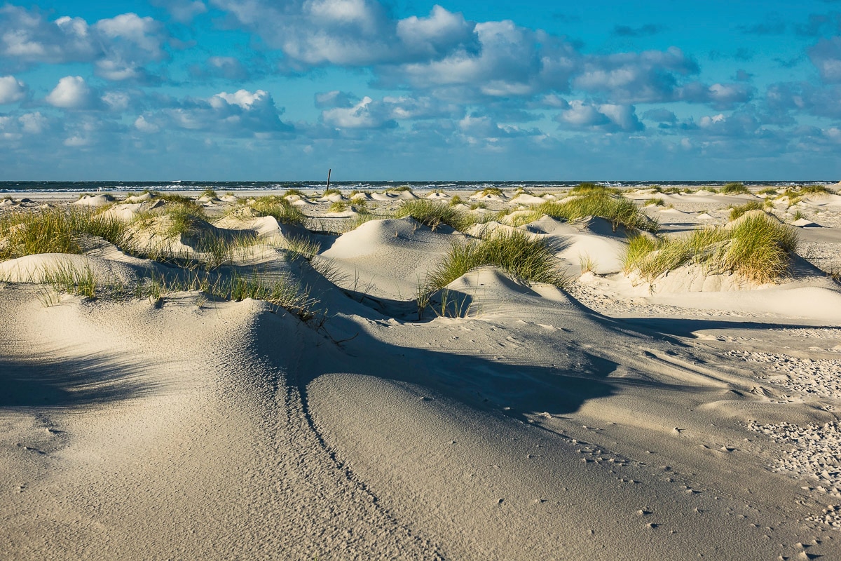 Papermoon Fototapete "DÜNEN-NATUR NORD SEE SAND STRAND MEER WÜSTE LANDSCHAFT"