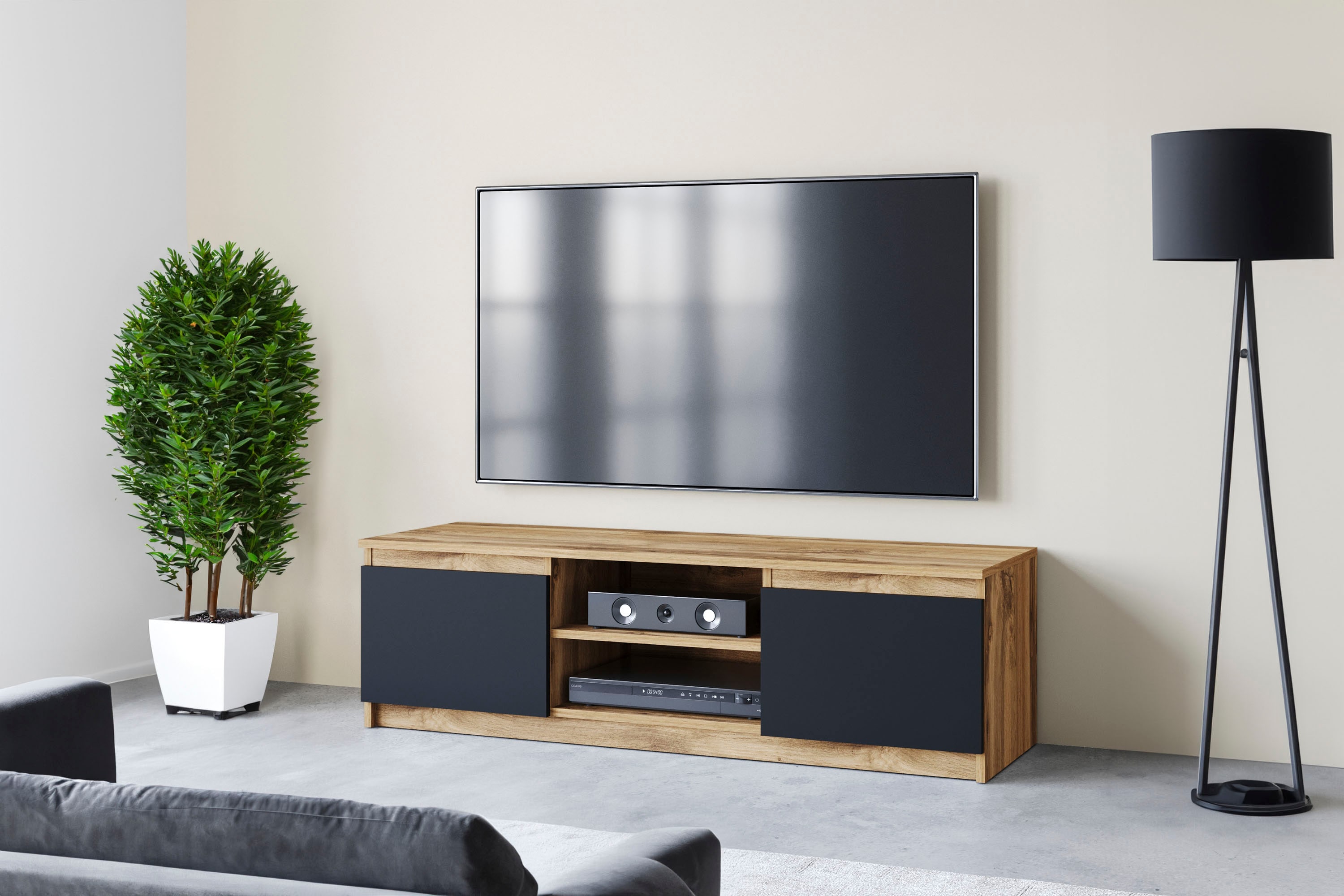 Home affaire Lowboard "DINGO" zeitloser TV-Schrank, TV-Board Breite 120 cm, grifflose Fernsehschrank