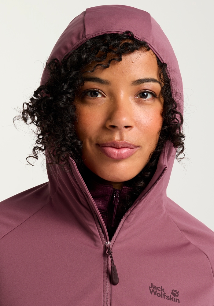 Jack Wolfskin Funktionsjacke »HIKE WITH ME HOODY W«, mit Kapuze