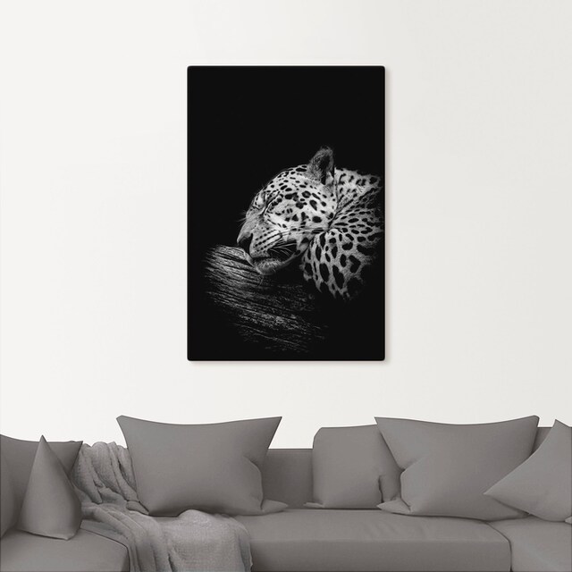 Artland Wandbild »Der schlafende Jaguar«, Wildtiere, (1 St.), als Alubild,  Leinwandbild, Wandaufkleber oder Poster in versch. Größen bestellen | BAUR