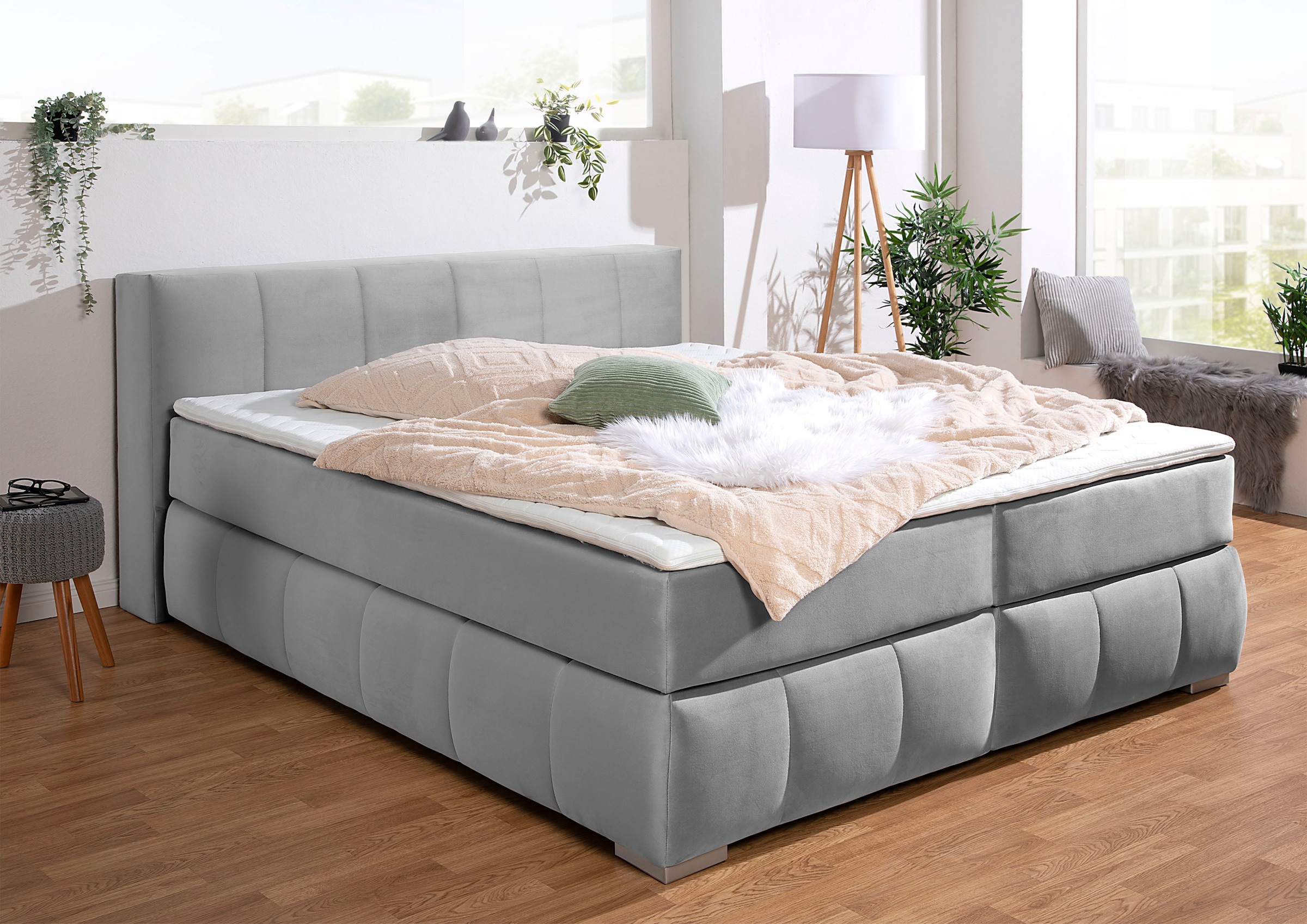 Boxspringbett HOME AFFAIRE "Chelles", silber, B:167cm L:225cm, Samtoptik (100% Polyester);Bezug der Spiegelfläche Matratzendrell aus 100% Polyester;Struktur fein 100% Polyester), Komplettbetten, Boxspringbett, inkl. Kaltschaumtopper, in 5 Breiten und 3 Ma 8