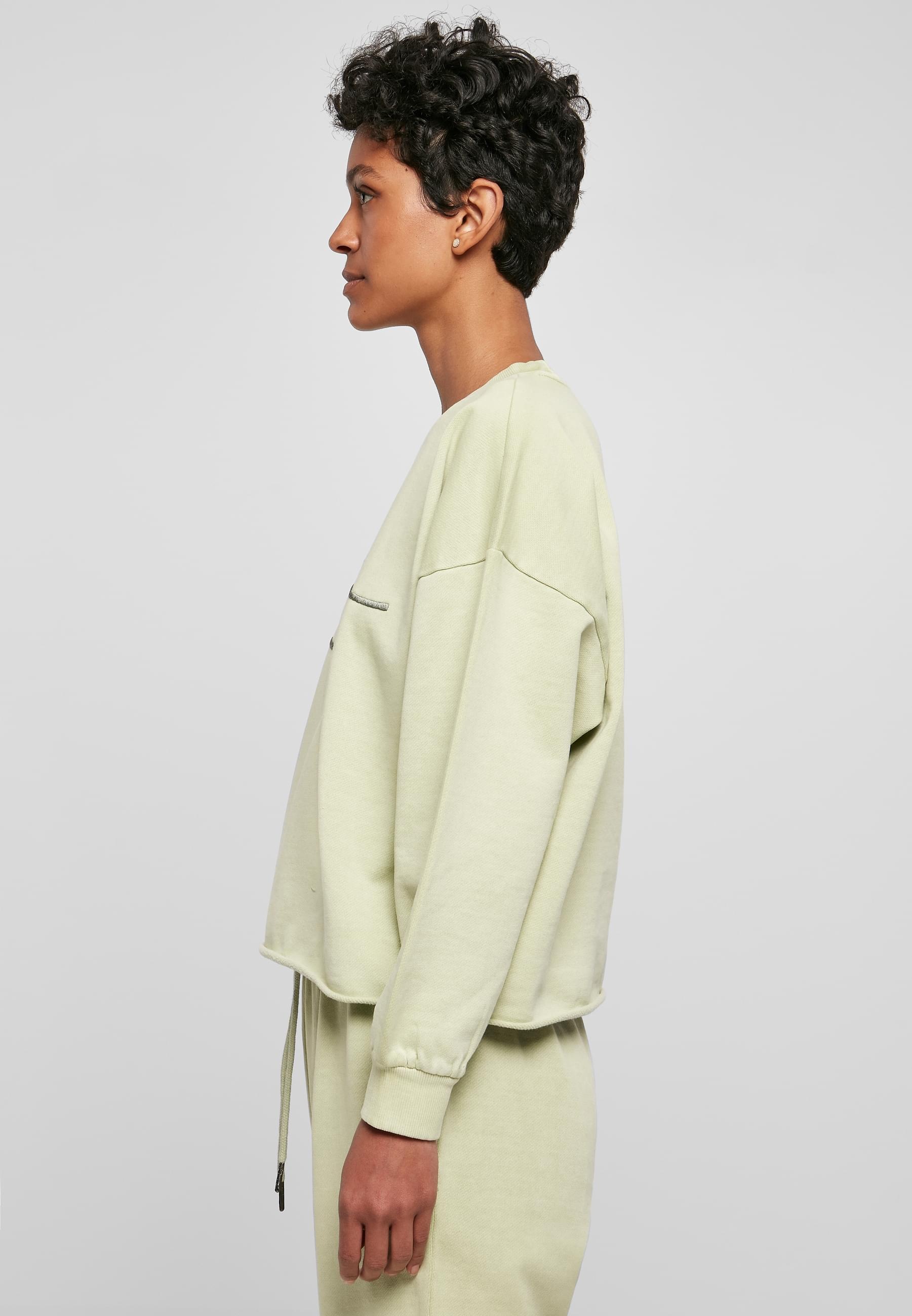 Karl Kani Sweatshirt »Karl Kani Damen KW222-052-1 Signature Washed Crew«, (1 tlg.)