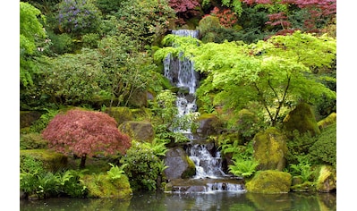 Fototapete »Kleiner Wasserfall in Garten«