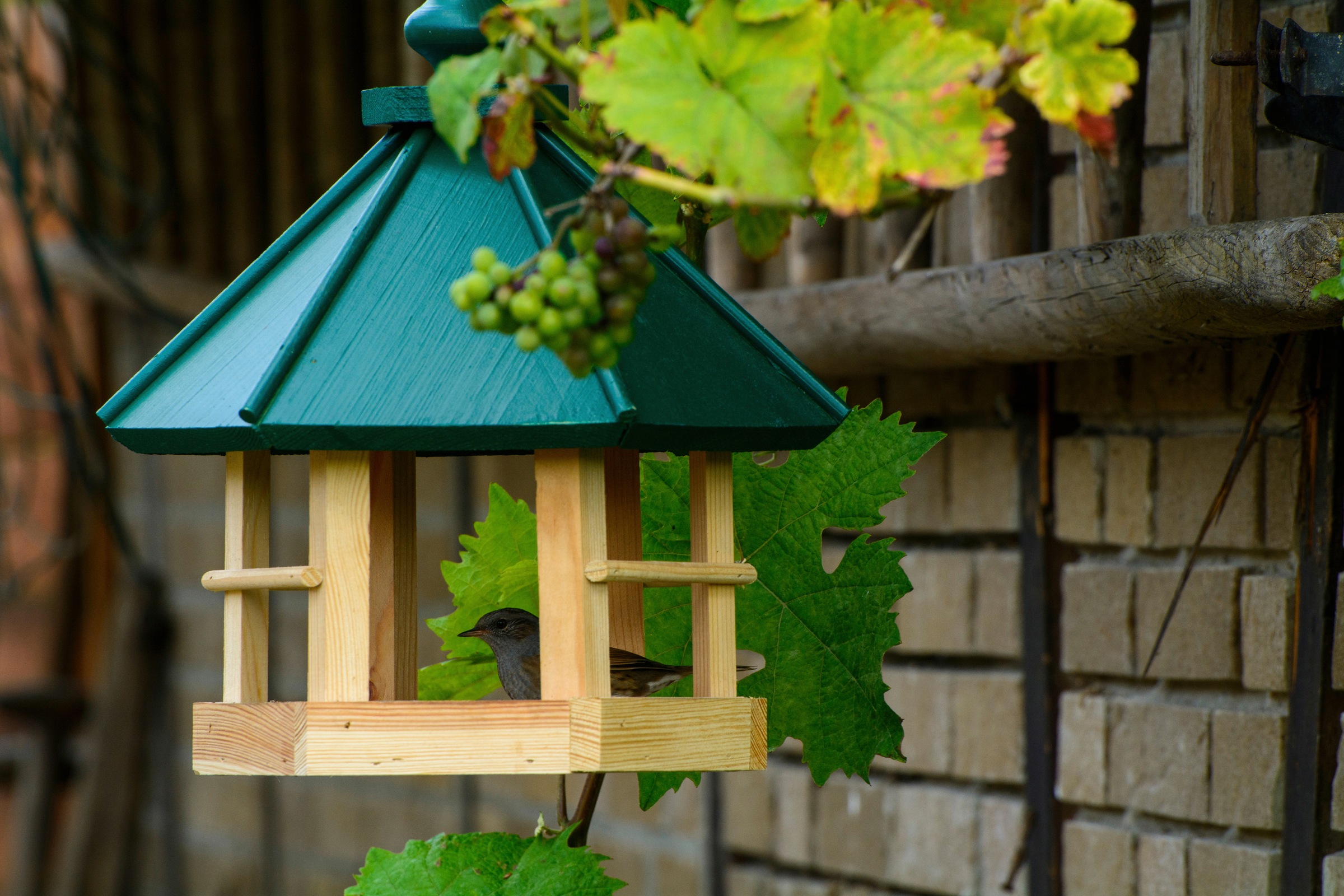 dobar green label Vogelhaus »Klassisch 6-eck«, BxTxH: 29x32x36 cm, Kiefer kaufen