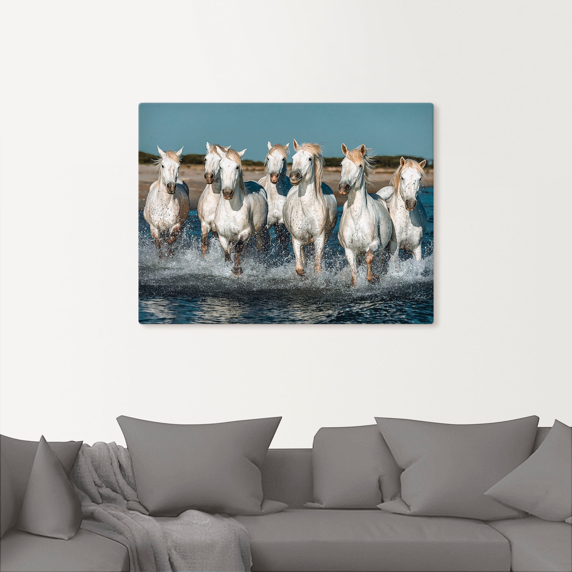 Artland Wandbild »Camargue Pferde galoppieren am Strand«, Haustiere, (1 St.), als Alubild, Outdoorbild, Leinwandbild, Poster, Wandaufkleber