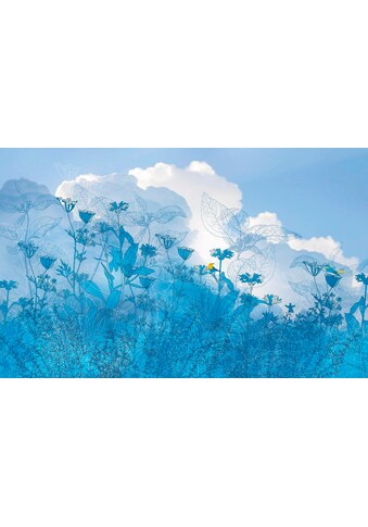 Komar Vliestapete »Blue Sky« 400x250 cm (Bre...