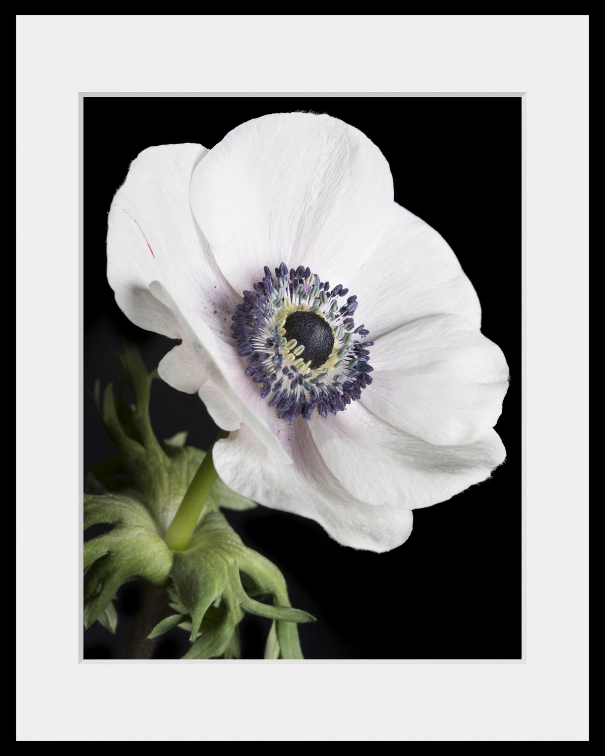 queence Bild »Leslie«, (1 St.), HD Premium Poster-Druck inkl. Holzrahmen