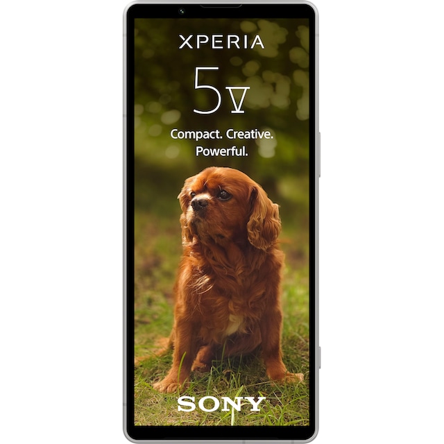 Sony Smartphone »XPERIA 5V«, schwarz, 15,49 cm/6,1 Zoll, 128 GB  Speicherplatz, 12 MP Kamera | BAUR