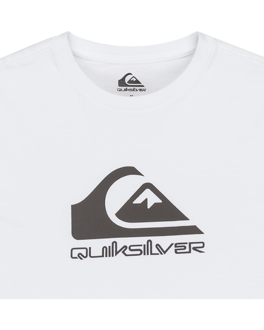 Quiksilver T-Shirt »Ev Comp Logo«