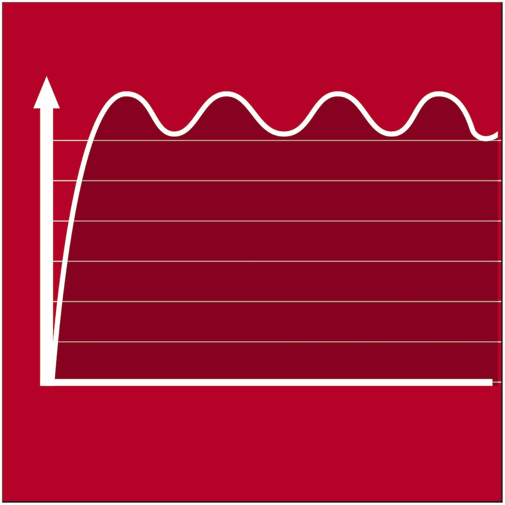 Einhell Stromerzeuger »TC-PG 65/E5«, (1 tlg.)