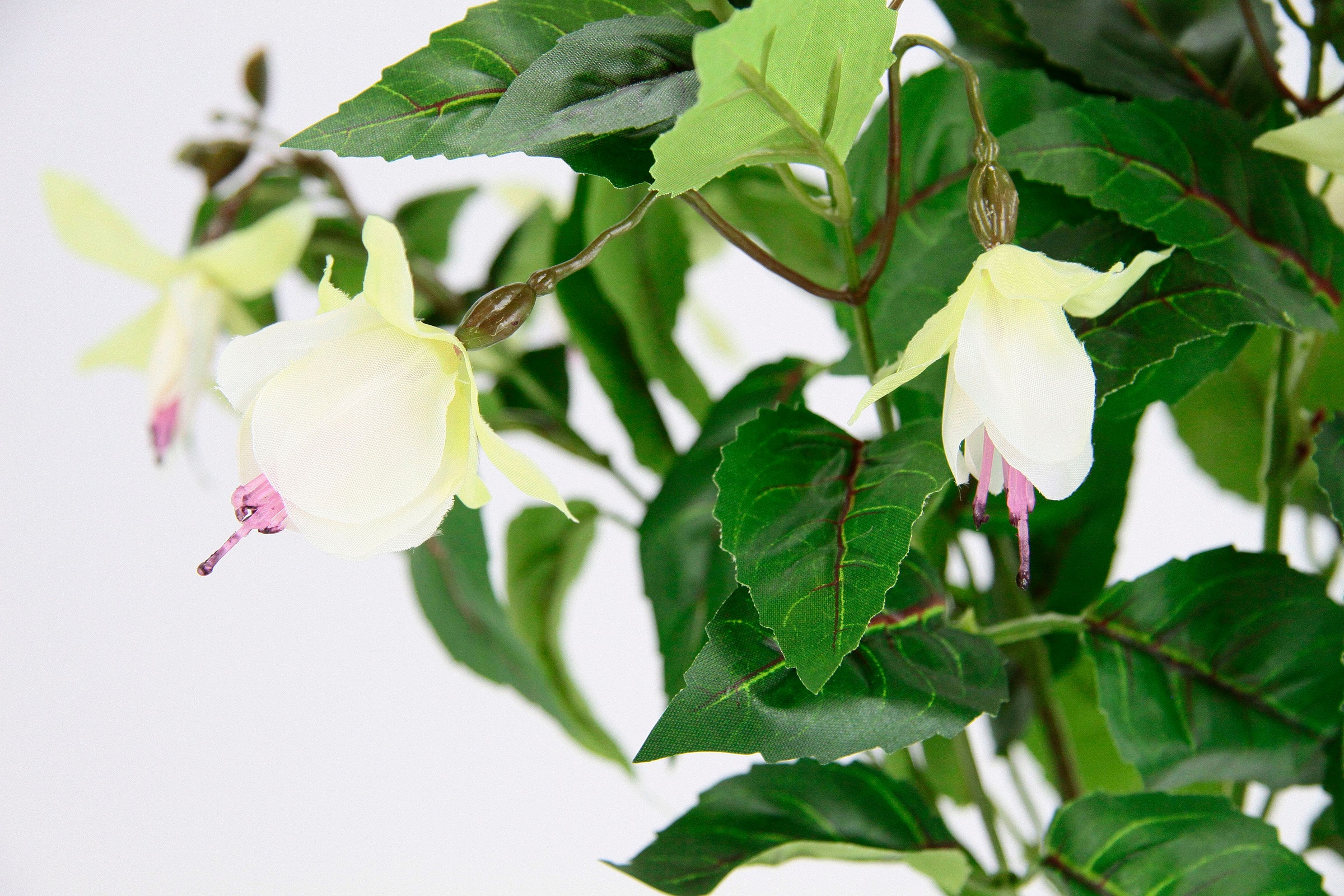 I.GE.A. Kunstblume »Fuchsien«, Im Topf Zimmerpflanze Deko Doppelblütenblätter Topfpflanze Hybrid Hort