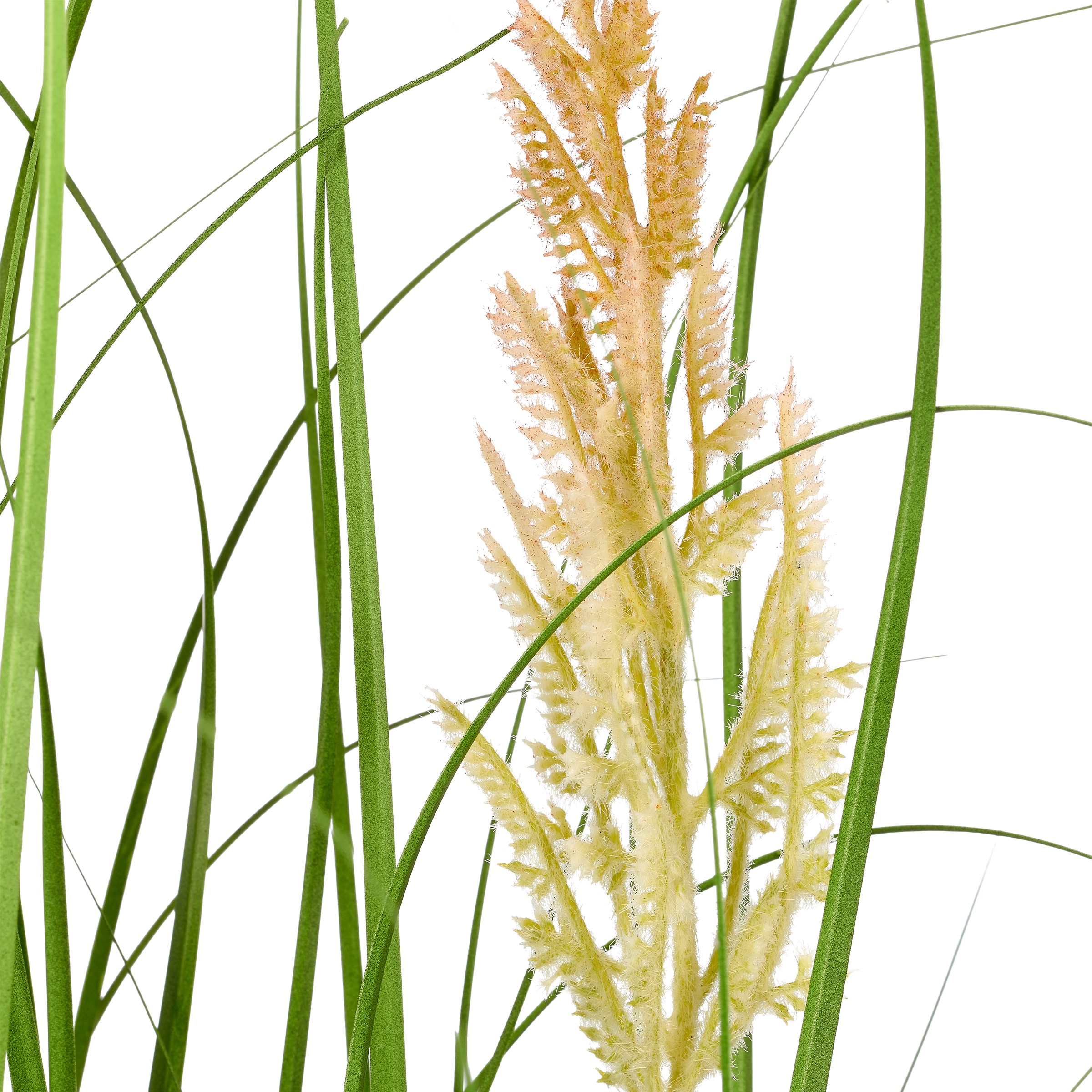 Creativ green Kunstgras »Grasbusch Federgras« mit dekorativen Blüten