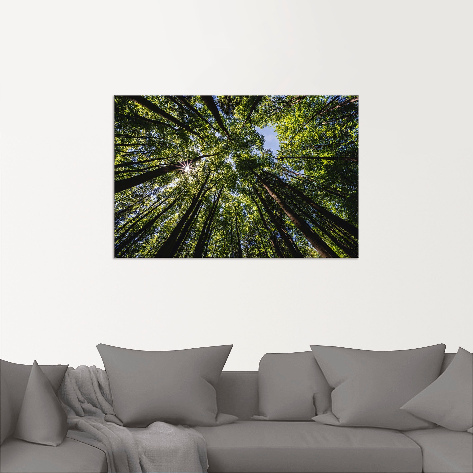 Artland Wandbild »Bäume von in im Sommer«, Leinwandbild, | bestellen Baumbilder, St.), (1 BAUR oder unten Alubild, Poster Größen versch. Wandaufkleber als
