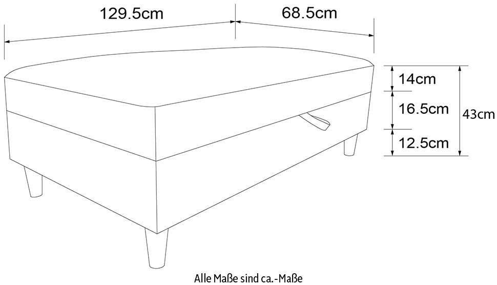 Dorel Home Stauraumhocker »Hartford«, Polsterhocker mit Stauraum, frei im Raum stellbar, Sitzhöhe 43 cm