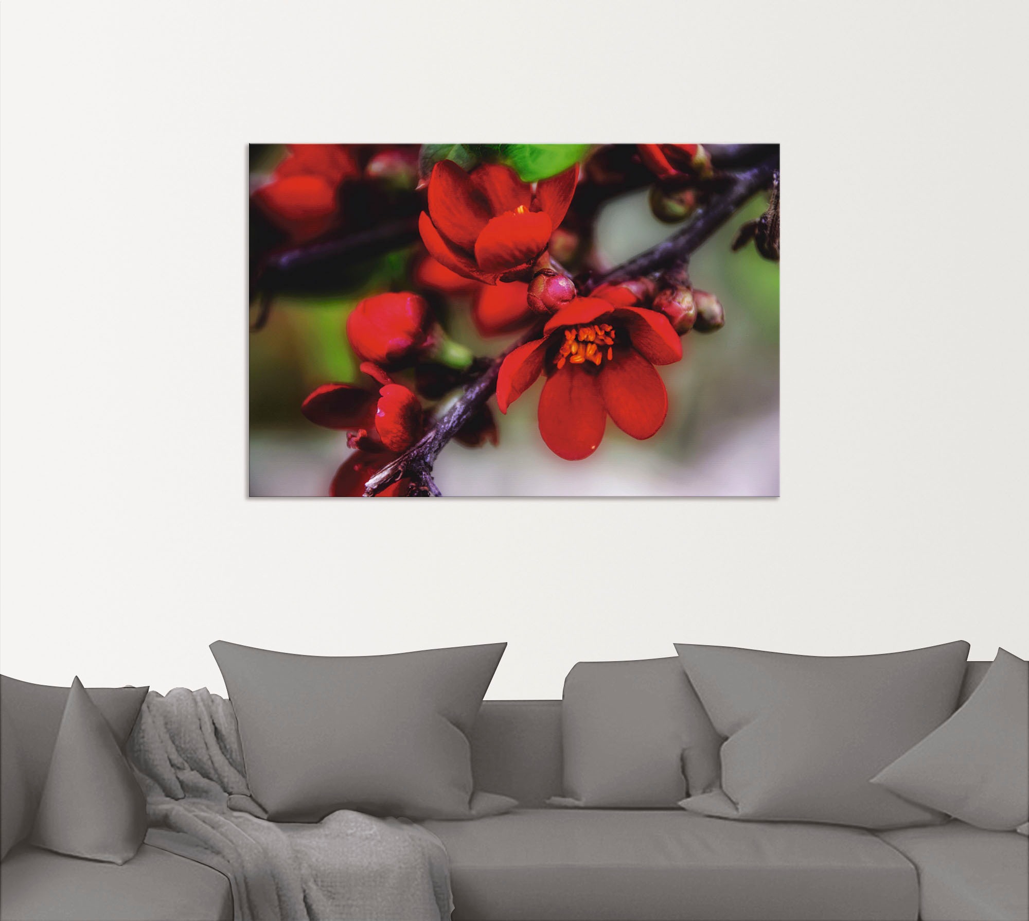 Artland Wandbild »Quittenblüte II«, Blumen, (1 St.), als Alubild, Outdoorbild, Leinwandbild in verschied. Größen