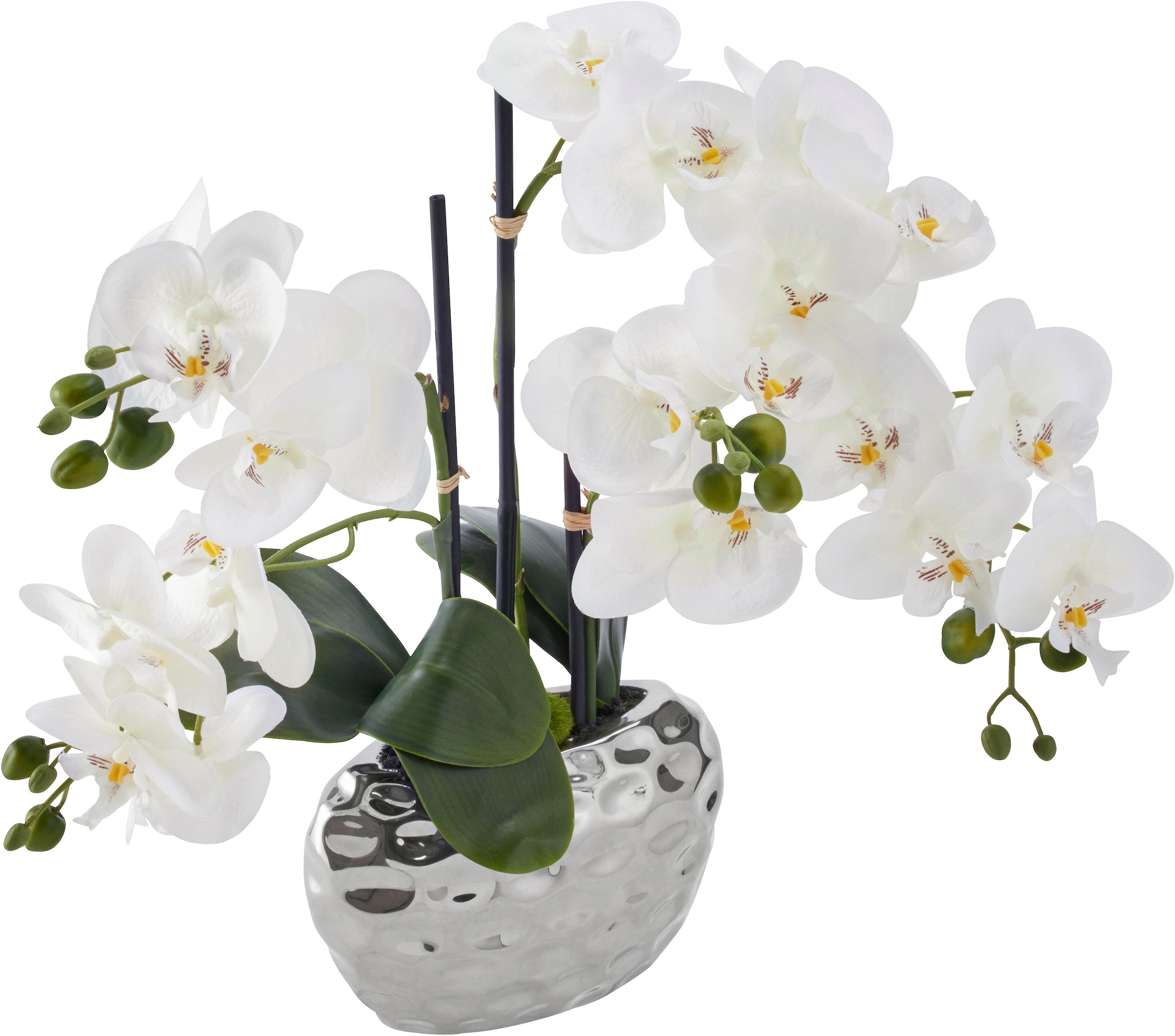 BAUR Creativ »Orchidee« green | Kunstpflanze kaufen
