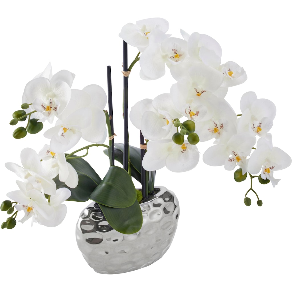 Creativ green Kunstpflanze »Orchidee«, (1 St.)