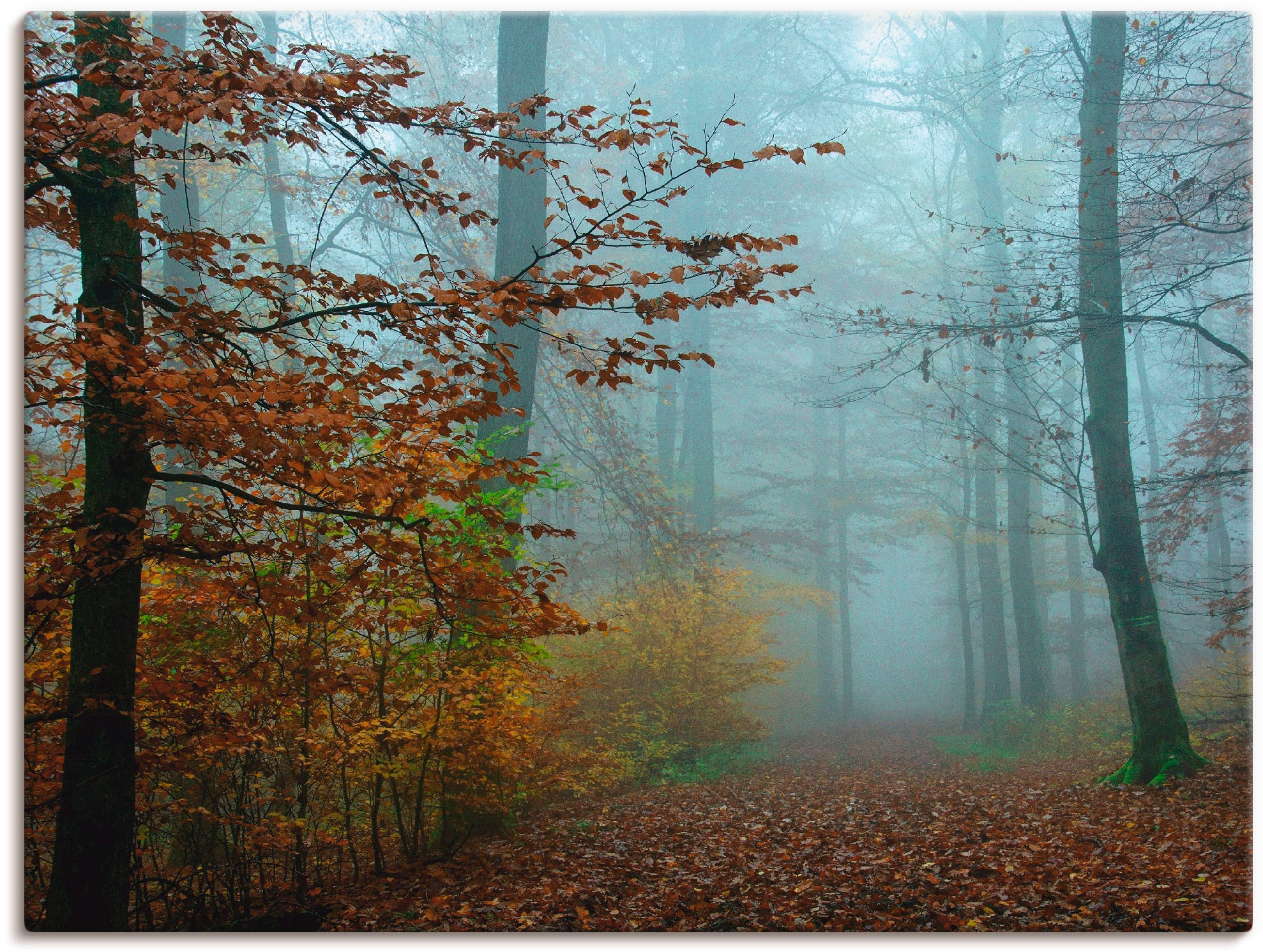 Artland Paveikslas »Nebel im Herbstwald« Wald ...