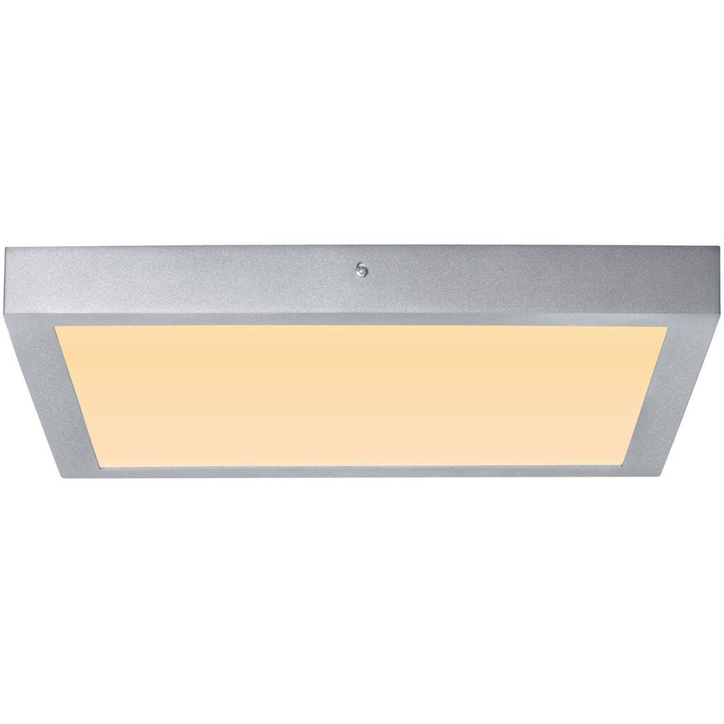 Paulmann LED Deckenleuchte »Carpo«, 1 flammig-flammig, LED-Modul, LED Deckenlampe