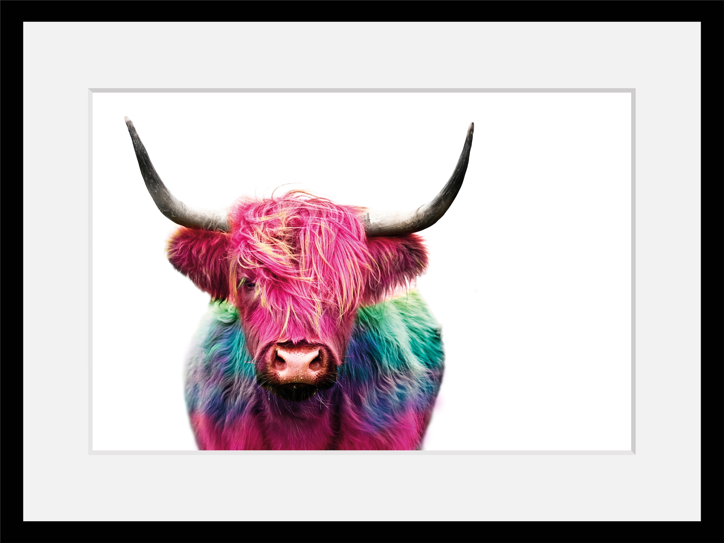 queence Paveikslas »Yak« Kuh-Kuhbilder-Kunst-F...