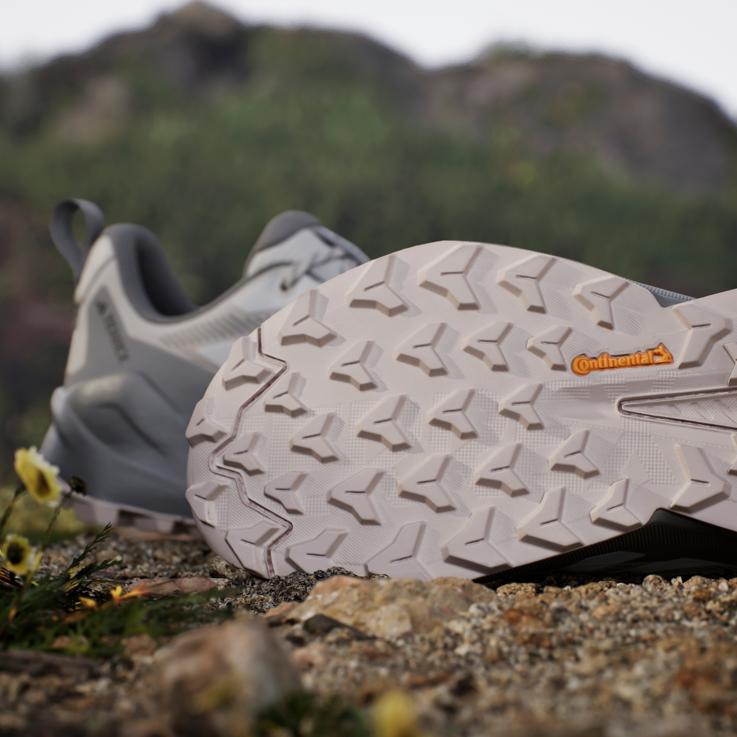 adidas TERREX Wanderschuh »TERREX TRAILMAKER 2.0 GORE-TEX«